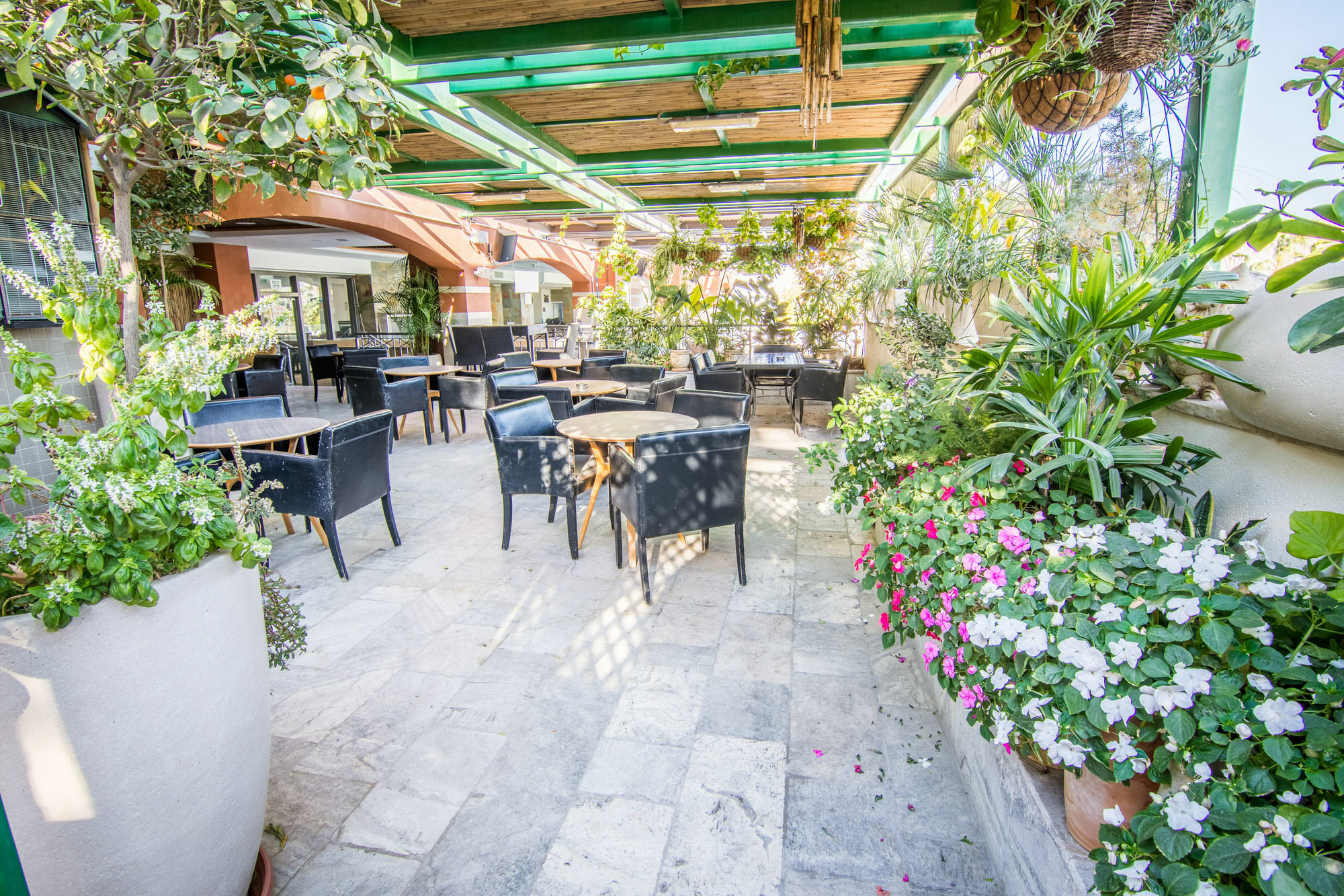 Comfort Hotel Eilat Ngoại thất bức ảnh